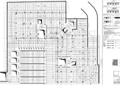 Venaria Gallo Praile - Progetto