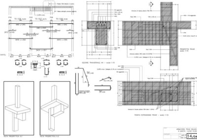 Venaria Gallo Praile - Progetto